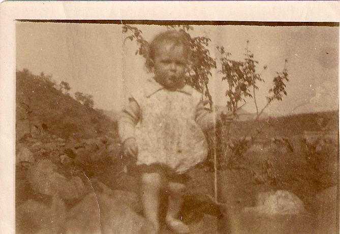 Ancestry.co_media